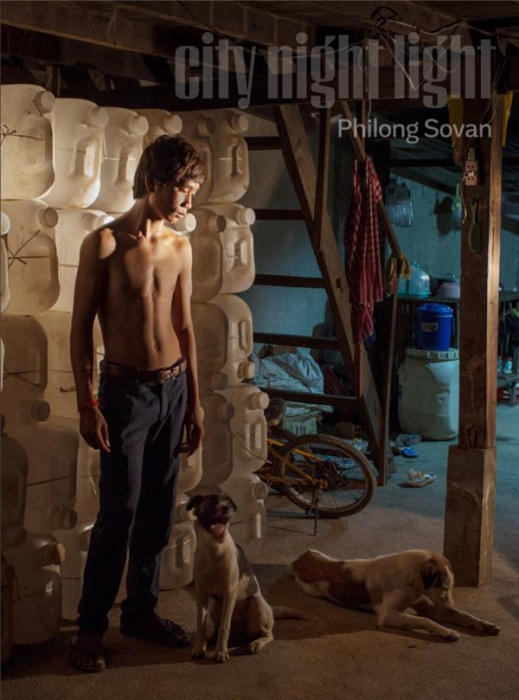 Emprunter City Night Light livre