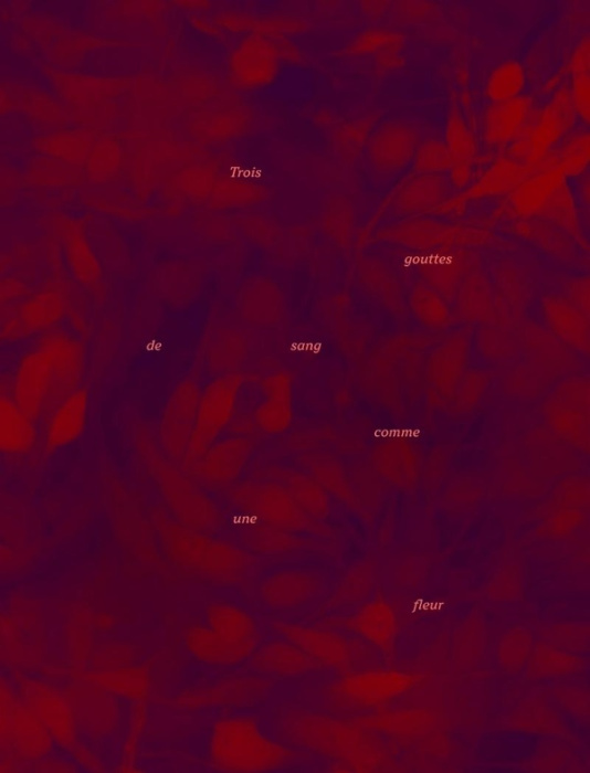 Emprunter Trois gouttes de sang comme une fleur livre