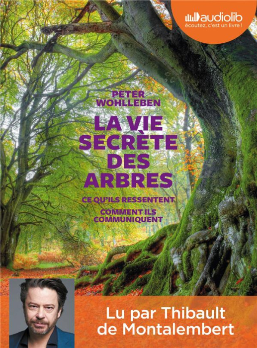 Emprunter La vie secrète des arbres. 1 CD audio MP3 livre