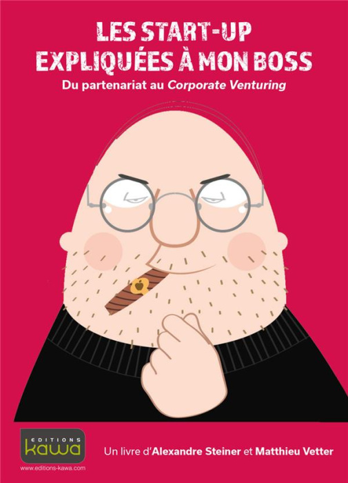 Emprunter Les start-up expliquée à mon boss livre