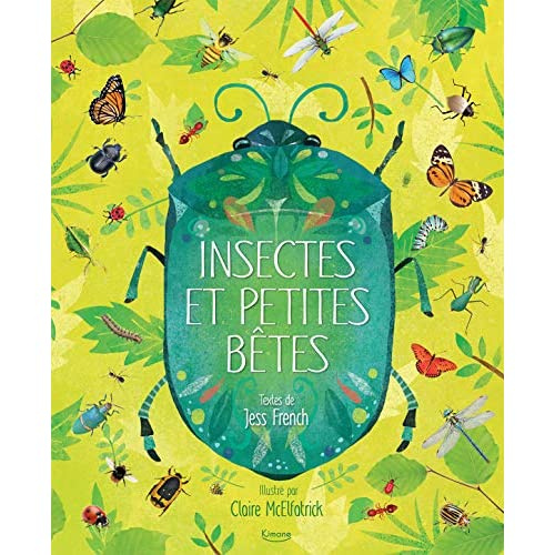 Emprunter Insectes et petites bêtes livre