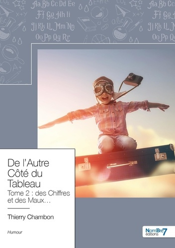 Emprunter De l'autre côté du tableau Tome 2 : Des chiffres et des maux livre