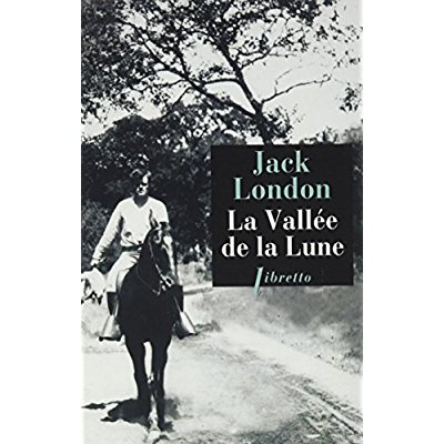 Emprunter La vallée de la Lune livre