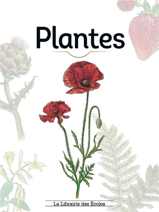 Emprunter Plantes livre