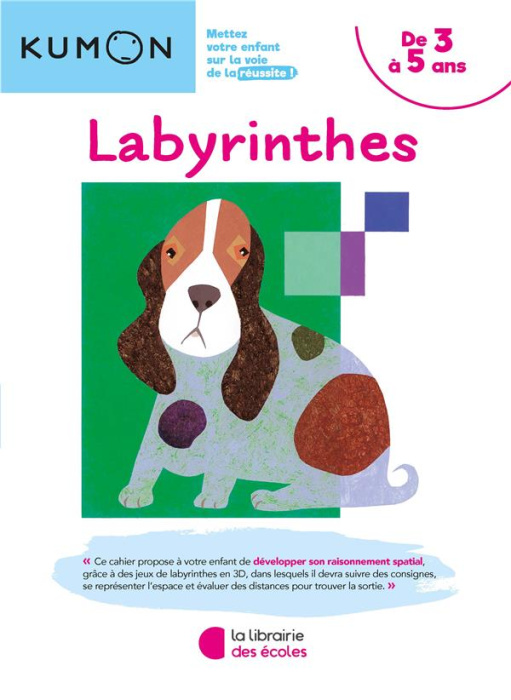 Emprunter Labyrinthes livre