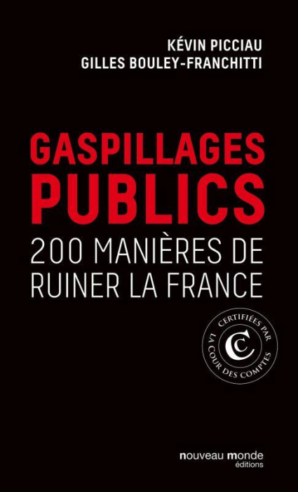 Emprunter Gaspillage public. 200 manières de ruiner la France livre