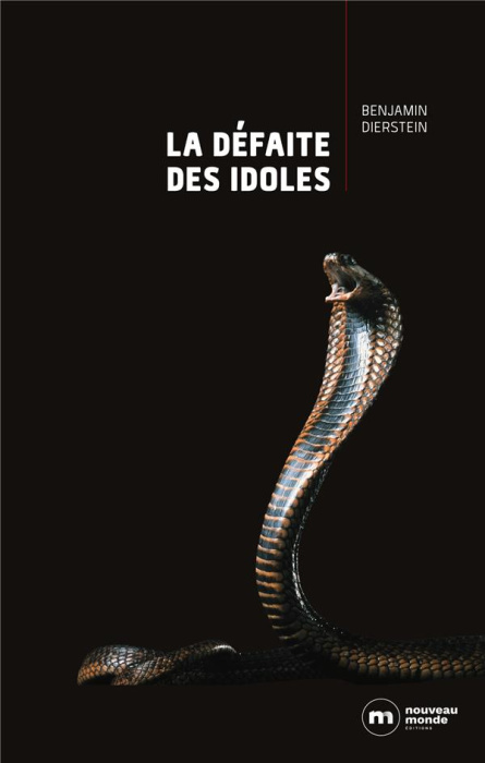 Emprunter Echos des années grises Tome 2 : La défaite des idoles livre
