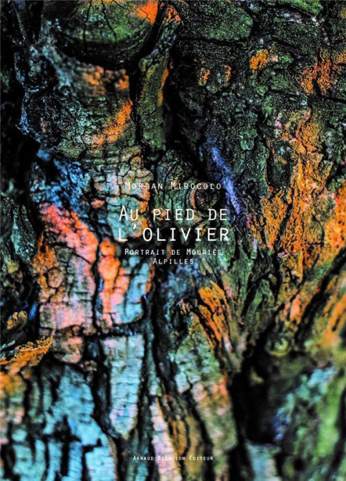 Emprunter Au pied de l'olivier livre