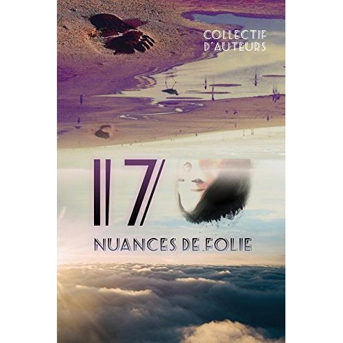Emprunter 17 nuances de folie livre