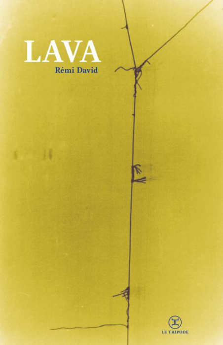 Emprunter Lava livre