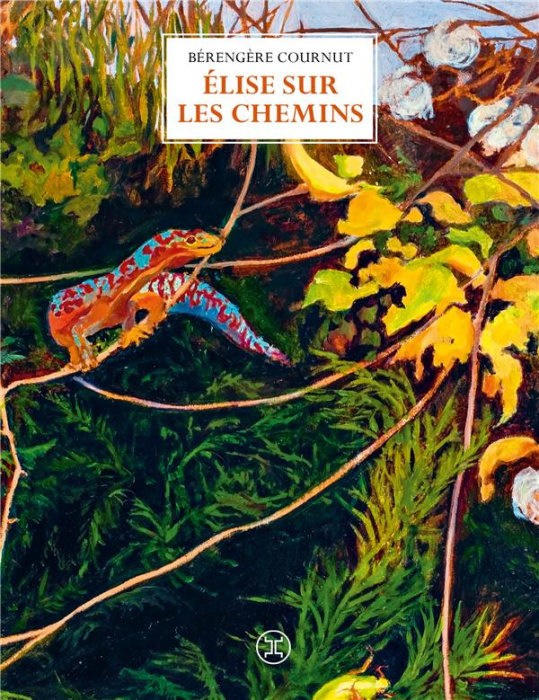 Emprunter Elise sur les chemins livre