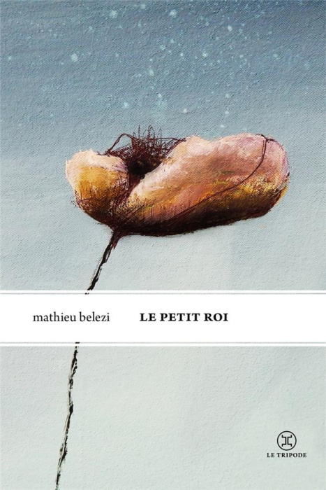 Emprunter Le Petit Roi livre