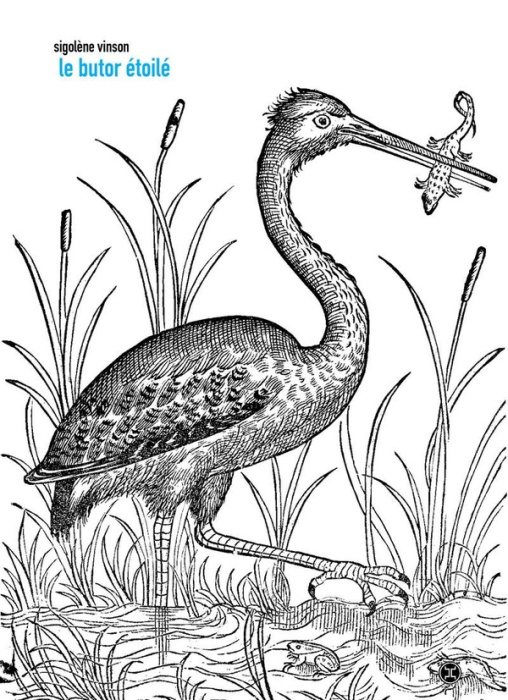 Emprunter Le butor étoilé livre