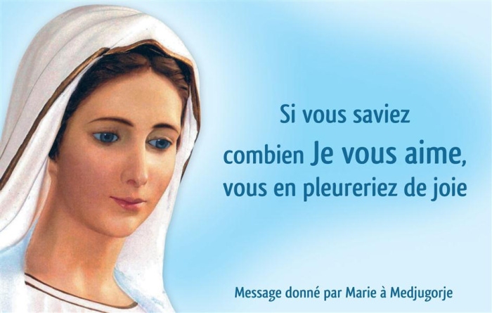 Emprunter CARTE VIERGE MEDJUGORJE (par lot de 20) livre