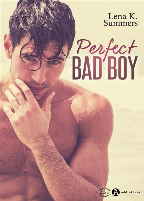 Emprunter Perfect Bad Boy livre