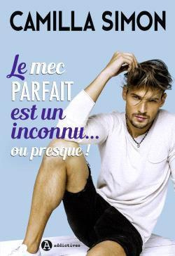 Emprunter Le mec parfait est un inconnu... ou presque ! livre