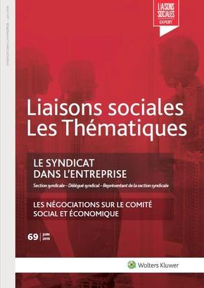 Emprunter Le syndicat dans l'entreprise. Section syndicale - Délégué syndical - Représentant de la section syn livre
