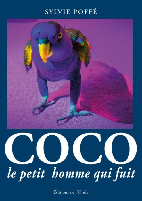 Emprunter Coco, le petit homme qui fuit livre