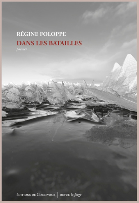 Emprunter Dans les Batailles livre