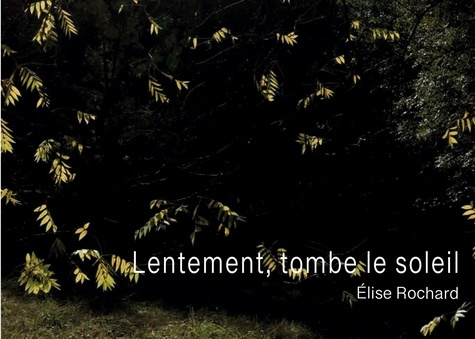 Emprunter Lentement, tombe le soleil livre