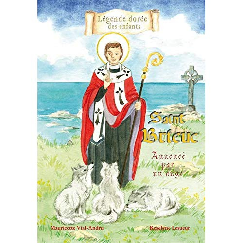 Emprunter Saint Brieuc. Annoncé par un ange livre