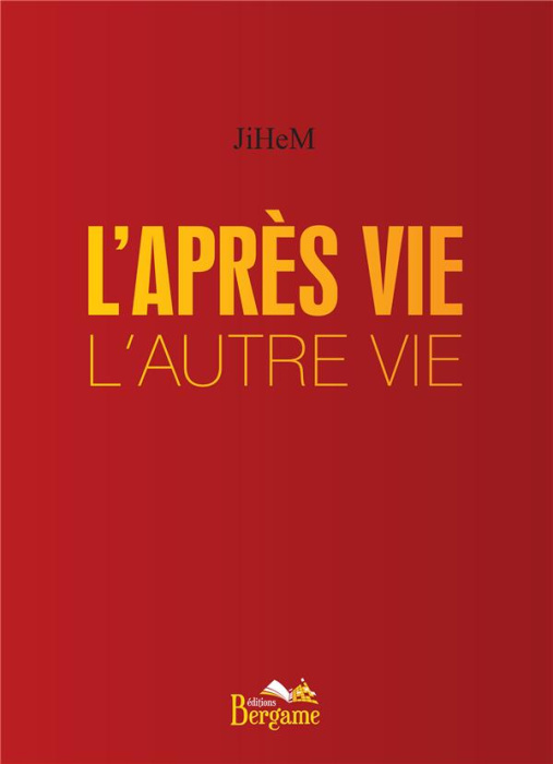 Emprunter L'après vie, l'autre vie livre