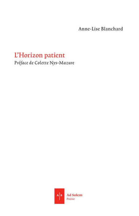 Emprunter L'Horizon patient livre