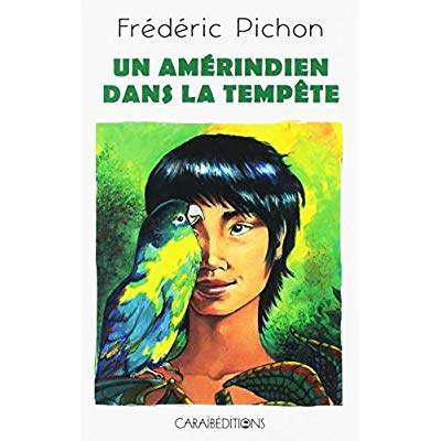 Emprunter Un amérindien dans la tempête livre