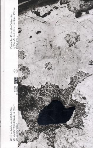 Emprunter Ni cygne ni lune. Oeuvres tchèques 1950-2014 de la collection Claude et Henri de Saint-Pierre, Editi livre