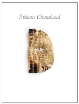 Emprunter Etienne Chambaud livre