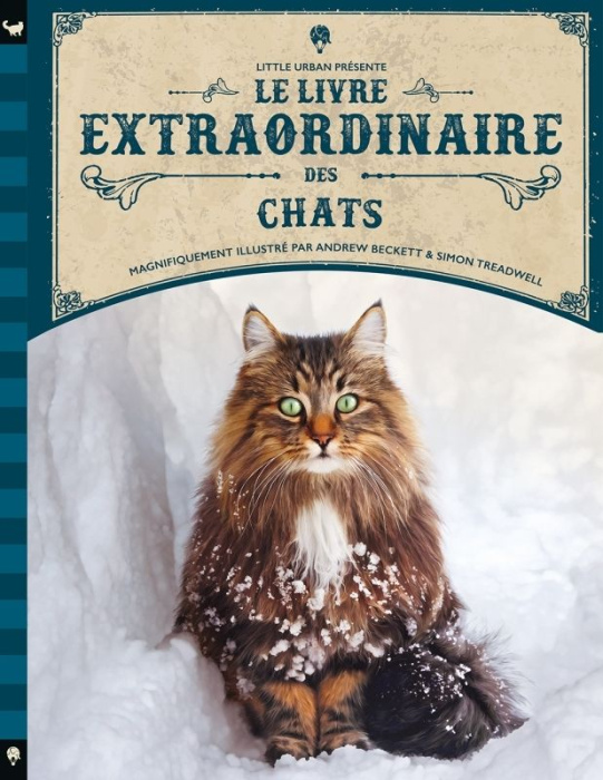 Emprunter Le livre extraordinaire des chats livre