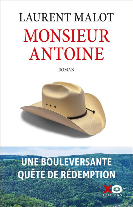 Emprunter Monsieur Antoine livre