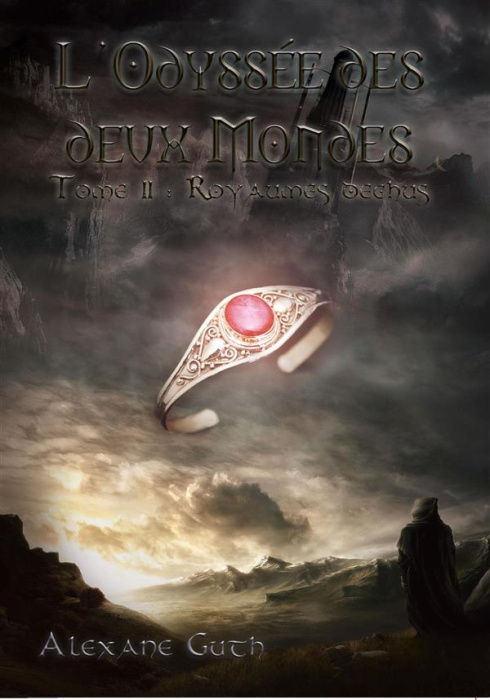 Emprunter L'odyssée des deux mondes Tome 2 : Royamues déchus livre