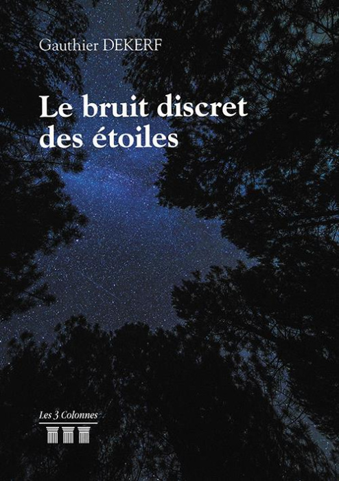 Emprunter Le bruit discret des étoiles livre