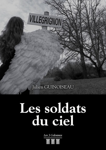 Emprunter Les soldats du ciel livre