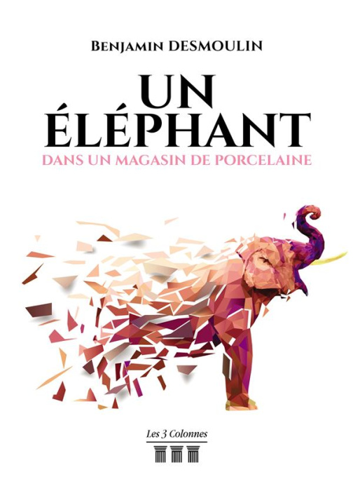 Emprunter Un éléphant dans un magasin de porcelaine livre