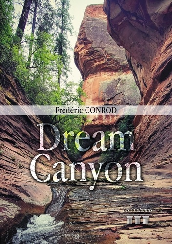 Emprunter Dream canyon livre