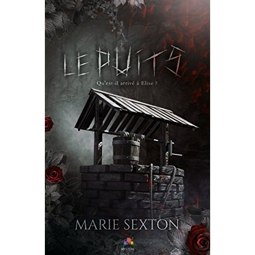 Emprunter Le puits livre