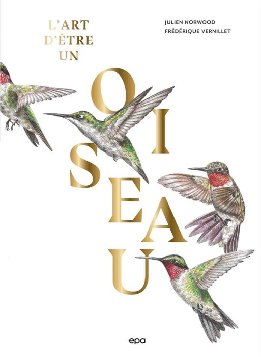 Emprunter L'art d'être un oiseau livre