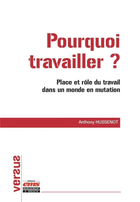 Emprunter Pourquoi travailler ?. Place et rôle du travail dans un monde en mutation livre