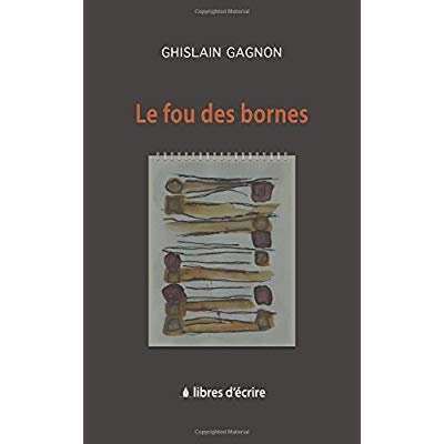 Emprunter Le fou des bornes livre