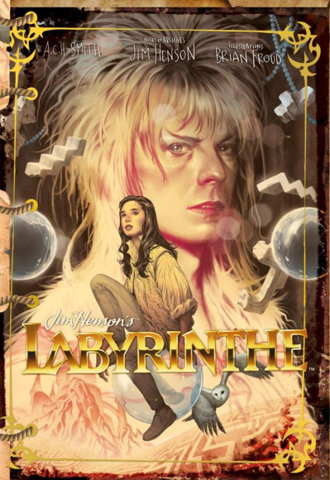 Emprunter Labyrinthe livre