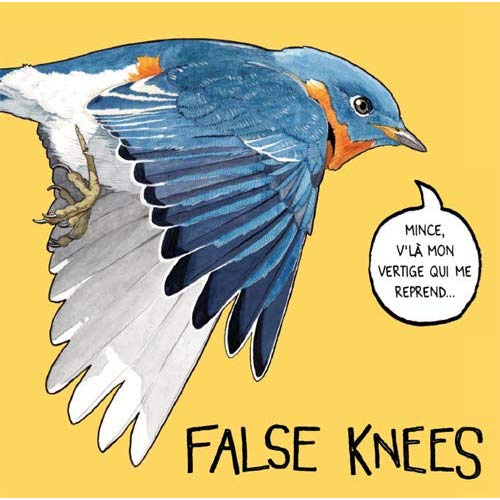 Emprunter False Knees livre