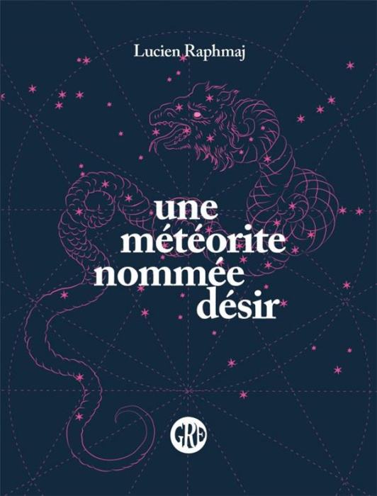 Emprunter Une météorite nommée désir livre