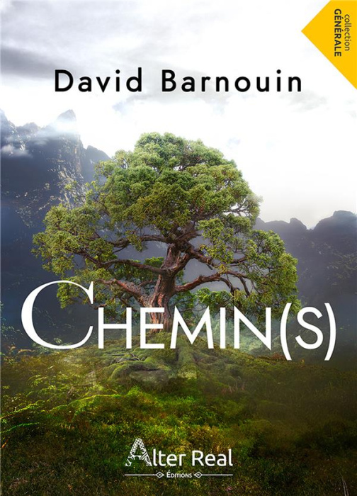 Emprunter Chemin(s) livre