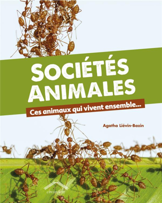 Emprunter Sociétés animales. Ces animaux qui vivent ensemble... livre