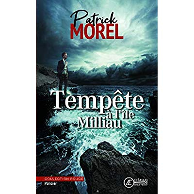 Emprunter Tempête à l'île Milliau - policier livre