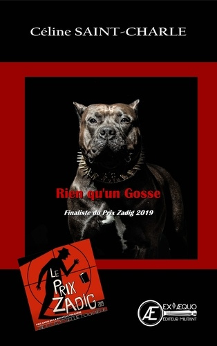 Emprunter Rien qu'un gosse livre