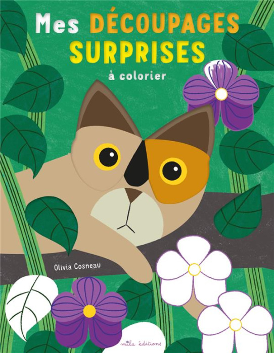 Emprunter Mes découpages surprises à colorier livre