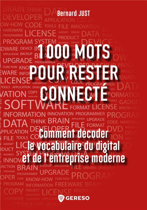 Emprunter 1000 mots pour rester connecté. Comment décoder le vocabulaire du digital et de l'entreprise moderne livre